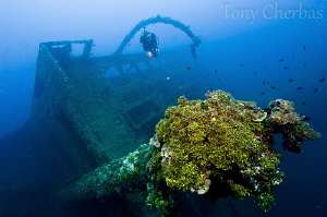 Wreck of the Tokai Maru, Apra Harbor, Guam. F7.1, 1/15, I... by Tony Cherbas 